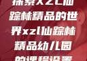 探索XZL仙踪林精品的世界xzl仙踪林精品幼儿园的课程设置
