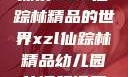 探索XZL仙踪林精品的世界xzl仙踪林精品幼儿园的课程设置