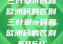 三叶草m码和欧洲码的区别三叶草m码和欧洲码的区别6868