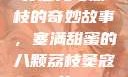 窦寇儿与荔枝的奇妙故事，塞满甜蜜的八颗荔枝窦寇儿