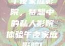 午夜家庭影院，梦想中的私人影院体验午夜家庭影院l