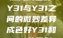 探究成色好Y31与Y31之间的微妙差异成色好Y31和Y31的区别
