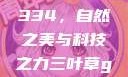 三叶草GW4334，自然之美与科技之力三叶草gw4334官网