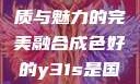 探索成色卓越的Y31，品质与魅力的完美融合成色好的y31s是国产a1a2a3a4a5