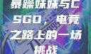 暴躁妹妹与CSGO，电竞之路上的一场挑战