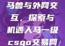 Python人马兽与外网交互，探索与机遇人马一级csgo交易网站