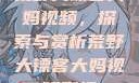 荒野大镖客大妈视频，探索与赏析荒野大镖客大妈视频剧情