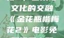 金花瓶楷梅花2，艺术与文化的交融《金花瓶楷梅花2》电影免费观看完整版