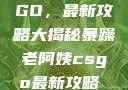 暴躁老阿姨教你玩转CSGO，最新攻略大揭秘暴躁老阿姨csgo最新攻略 适合五十岁阿姨