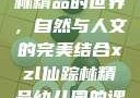 探索xzl仙踪林精品的世界，自然与人文的完美结合xzl仙踪林精品幼儿园的课程设置