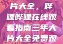 免费观看三年片大全，哔哩哔哩在线观看指南三年大片大全免费观看大全