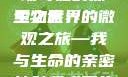 我成了生物课的教具篇，一场奇妙的探索之旅
生物世界的微观之旅—我与生命的亲密接触我成了生物课的教具篇1关键词小说