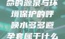 水多多，生命的源泉与环境保护的呼唤水多多避孕套属于什么档次