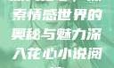 深入花心，探索情感世界的奥秘与魅力深入花心小说阅读