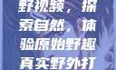 真实野外打野视频，探索自然，体验原始野趣真实野外打野视频大全