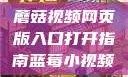 蘑菇视频网页版入口打开指南蓝莓小视频