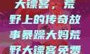 暴躁大妈荒野大镖客，荒野上的传奇故事暴躁大妈荒野大镖客免费观看