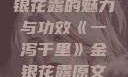 一泻千里，金银花露的魅力与功效《一泻千里》金银花露原文TXT