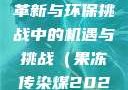 果冻传染煤，未来技术革新与环保挑战中的机遇与挑战（果冻传染煤2024）果冻传染煤2024年