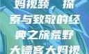 荒野大镖客大妈视频，探索与致敬的经典之旅荒野大镖客大妈视频剧情