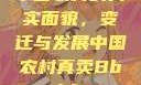 中国农村的真实面貌，变迁与发展中国农村真卖Bbwbbw