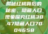 揭秘红桃背后的秘密，隐藏人口现象探究红桃38.47隐藏人口7004658
