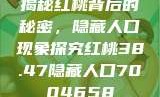 揭秘红桃背后的秘密，隐藏人口现象探究红桃38.47隐藏人口7004658