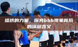 搡挤的力量，探究bbb现象背后的深层含义