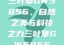 三叶草GW5856，自然之美与科技之力三叶草GW5856