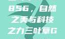 三叶草GW5856，自然之美与科技之力三叶草GW5856