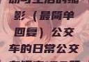 公交车短文，城市中的脉动与生活的缩影（最简单回复）公交车的日常公交车短文100篇最简单回复苏晴