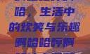 啊哈哈哼啊哈，生活中的欢笑与乐趣啊哈哈哼啊哈什么意思
