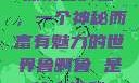 探索鲁啊鲁，一个神秘而富有魅力的世界鲁啊鲁 是什么游戏