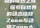 Zoom与动物的奇妙之旅，探索自然界的动态缩放Zoom与动物Zoom大全美国