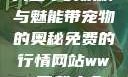 天堂中的妖精与魅能带宠物的奥秘免费的行情网站www下载大全