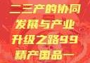 探索中国产业新篇章，一二三产的协同发展与产业升级之路99精产国品一二三产区区观看