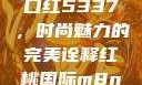 YSL水蜜桃口红5337，时尚魅力的完美诠释红桃国际m8n3