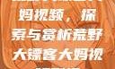 荒野大镖客大妈视频，探索与赏析荒野大镖客大妈视频剧情