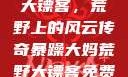 暴躁大妈荒野大镖客，荒野上的风云传奇暴躁大妈荒野大镖客免费观看