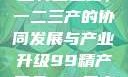 探索中国产业转型之路，一二三产的协同发展与产业升级99精产国品一二三产区区观看