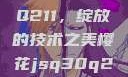 樱花JSQ30Q211，绽放的技术之美樱花jsq30q211使用说明