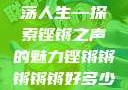 铿锵韵律，激荡人生—探索铿锵之声的魅力铿锵锵锵锵锵好多少动漫