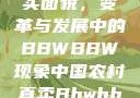 中国农村的真实面貌，变革与发展中的BBWBBW现象中国农村真卖Bbwbbw