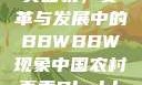 中国农村的真实面貌，变革与发展中的BBWBBW现象中国农村真卖Bbwbbw