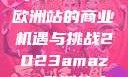 揭秘2023年Amazon欧洲站的商业机遇与挑战2023amazon欧洲站大长颈