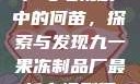 九一果冻制品厂与电视剧中的何苗，探索与发现九一果冻制品厂最新电视剧何苗小说
