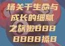 嫩槡搡探，一场关于生命与成长的细腻之旅嫩BBB槡BBBB搡BBBB小说