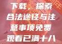 免费观看已满十八岁电视剧下载，探索合法途径与注意事项免费观看已满十八岁电视剧下载在线播放