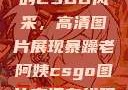 暴躁老阿姨的CSGO风采，高清图片展现暴躁老阿姨csgo图片高清在线观看