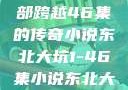 东北大坑，一部跨越46集的传奇小说东北大坑1-46集小说东北大坑续集